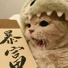 流光碎影的头像-考研栈